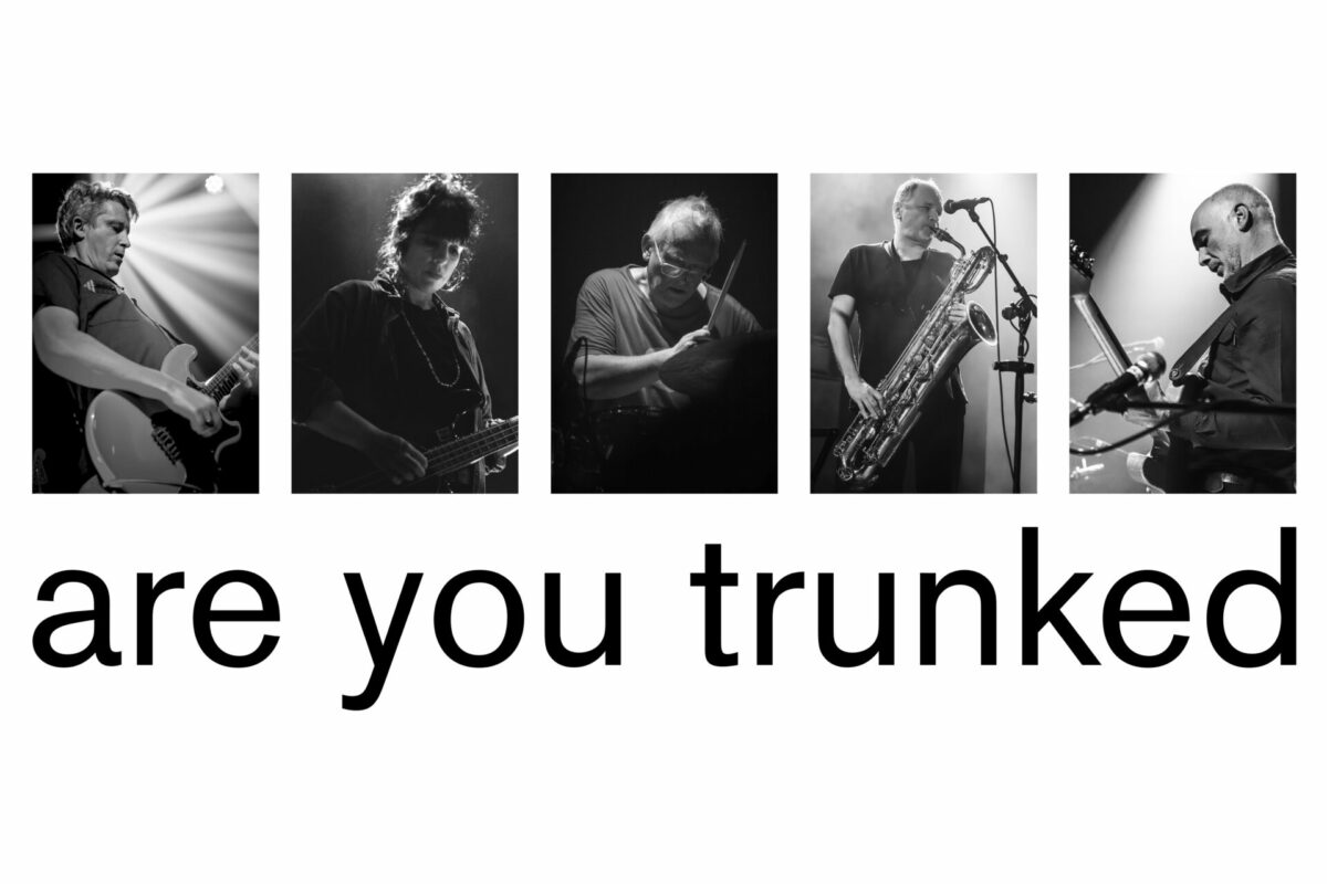 image : Are You Trunked