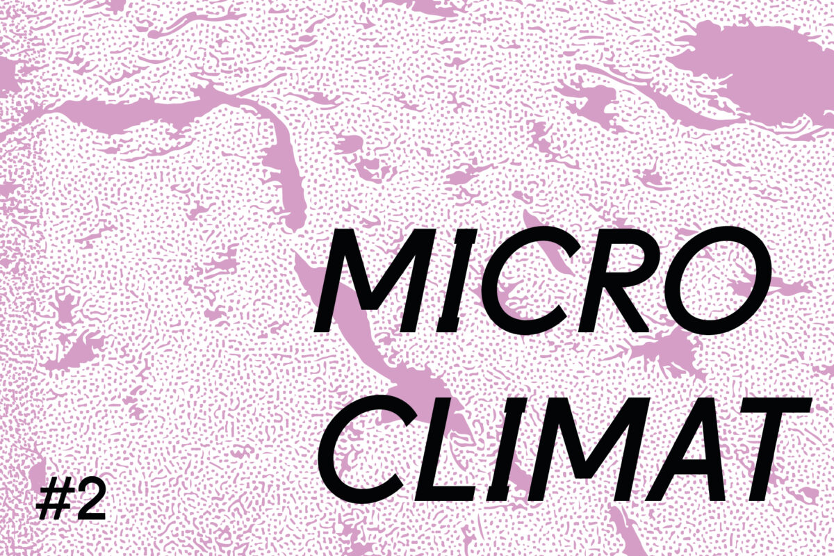 image : Micro Climat #2