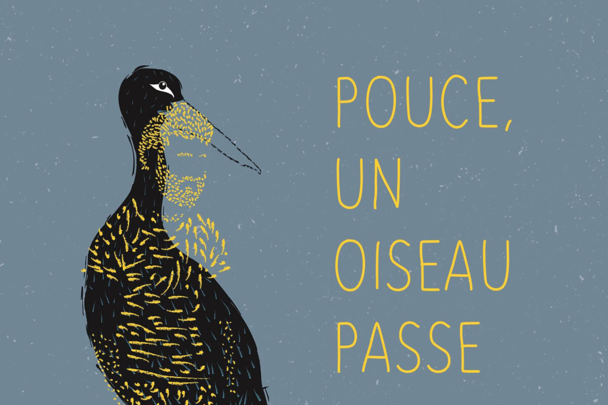 image : Pouce, un oiseau passe • Patrice Le Saëc